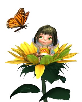 蝴蝶花蝴蝶