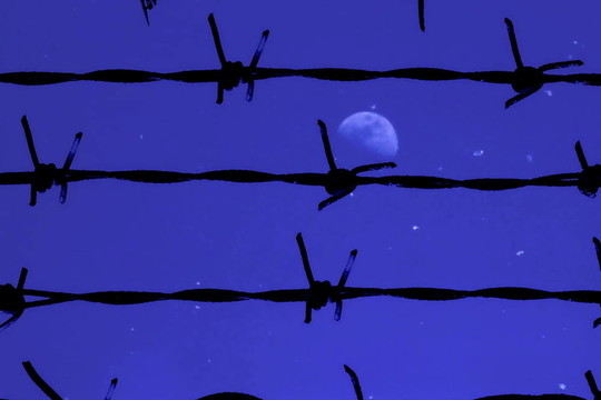 鐵絲網(wǎng)夜
