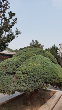 樂壽堂風(fēng)光