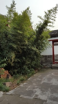 頤和園風(fēng)光