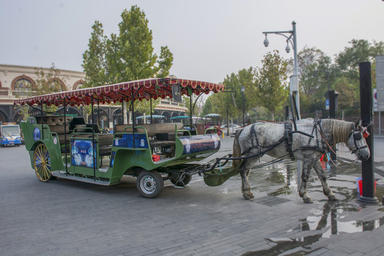 天津五大道旅游觀光馬車