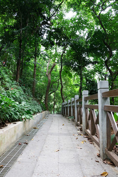 秋天的公園小路