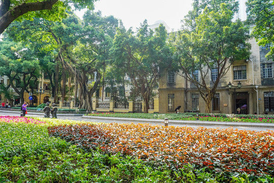 廣州租界老建筑 沙面老街
