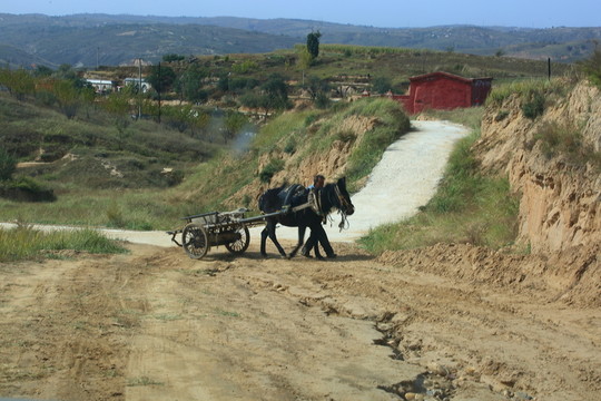 毛驢車(chē)