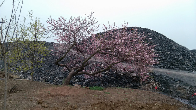 煤礦矸石山