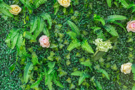 綠色植物墻 花墻背景