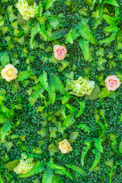 綠色植物墻 花墻背景