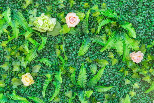 綠色植物墻 花墻背景