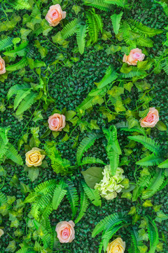 綠色植物墻  花墻