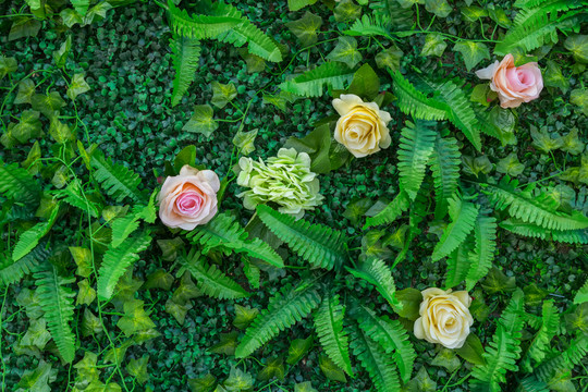 綠色植物墻  花墻