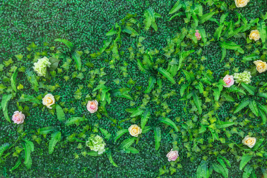 綠色植物墻  花墻