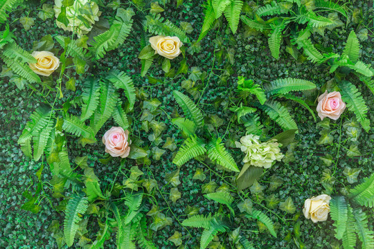 綠色植物墻  花墻
