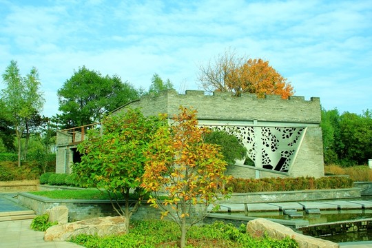 庭院