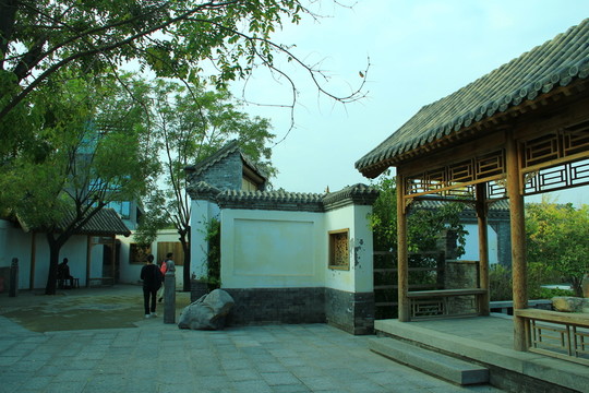 庭院