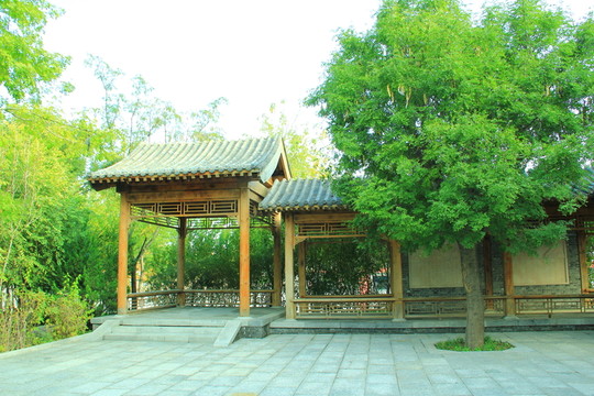 江南庭院