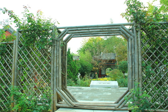 庭院