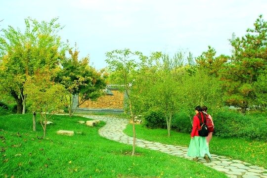 林間小路