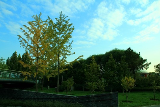 秋景