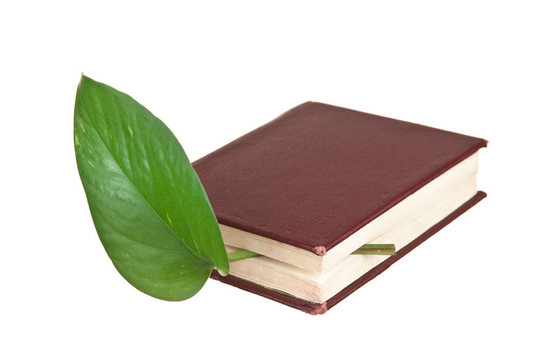 書(shū)中的綠葉書(shū)簽