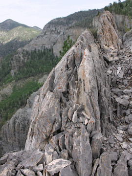 內(nèi)華達(dá)州查爾斯頓山