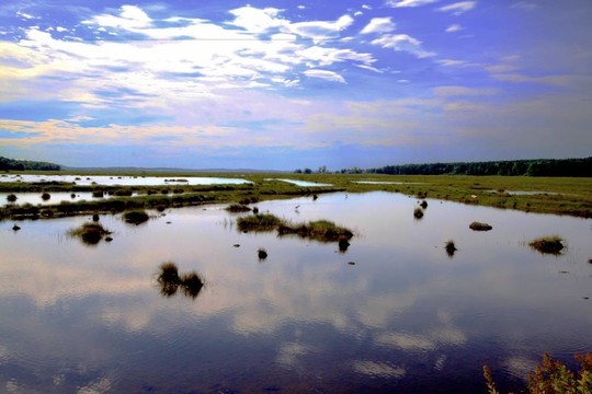 斯卡伯勒的沼泽