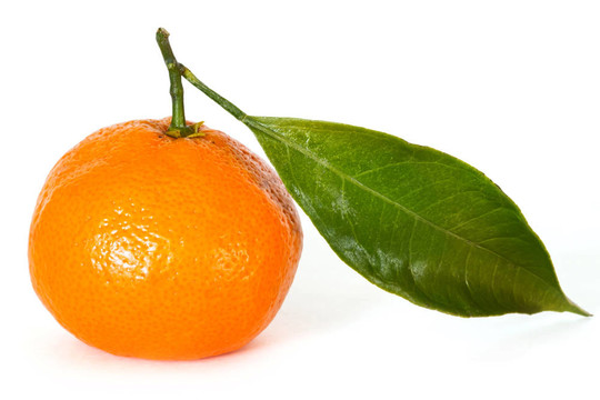 Tangerine夜店