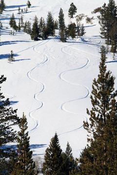 滑雪道