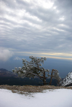 冬季景觀(guān)