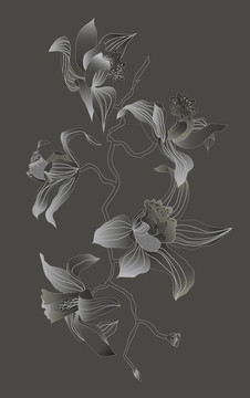 灰色背景上的蘭花枝
