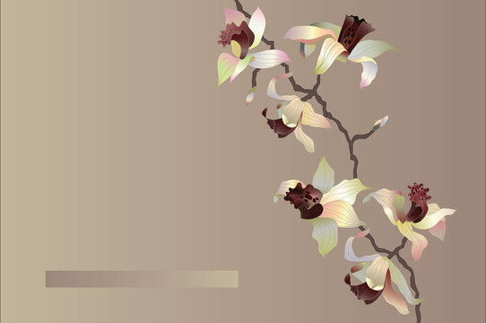 蘭花