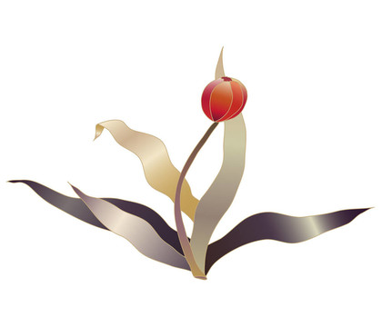 紅色郁金香花素描