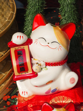 瓷貓
