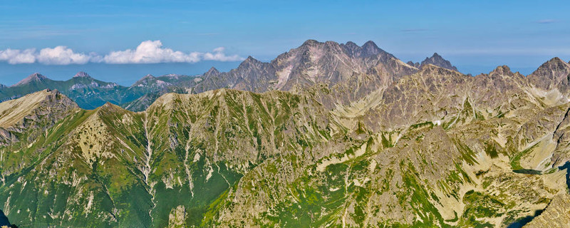 山