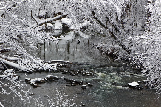 冬季雪景
