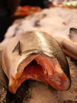 新鮮鮭魚
