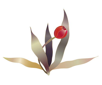 紅色郁金香花素描