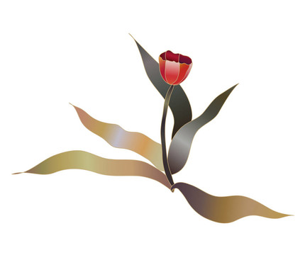 紅色郁金香花素描