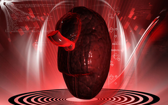 腦