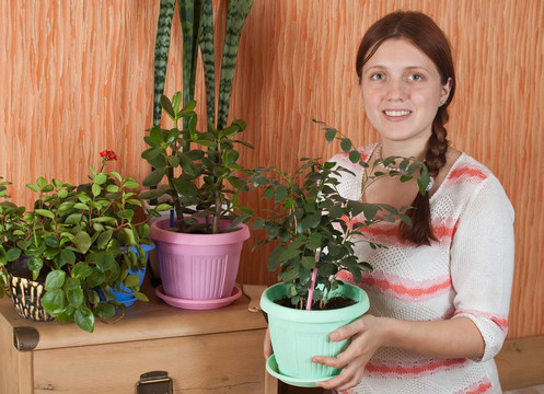 女人與花在鍋里