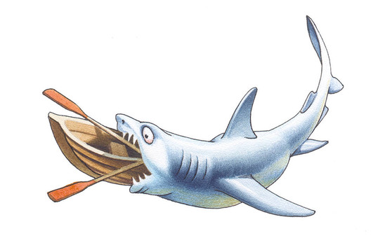 shark_2