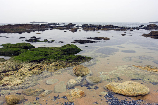 海池