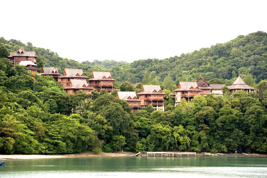 在熱帶雨林中的小屋