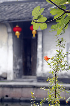 古鎮(zhèn)