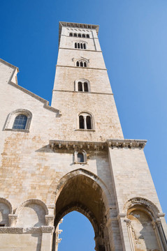 大教堂的鐘樓。Trani。Apulia。