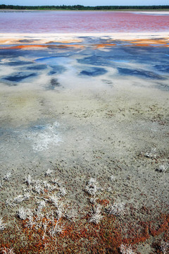 鹽湖