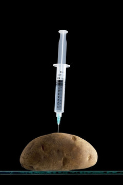 插在土豆里的注射器