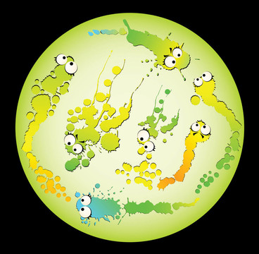 向量病毒與細(xì)菌