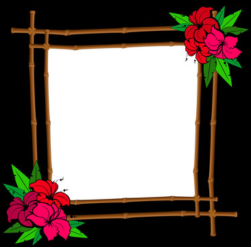 熱帶花卉
