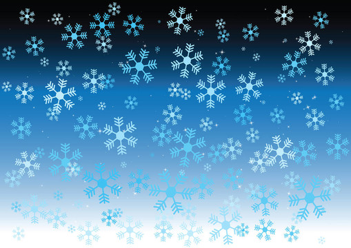 向量的雪花