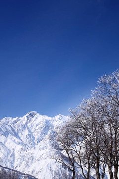 太goryudake；日本長(zhǎng)野
